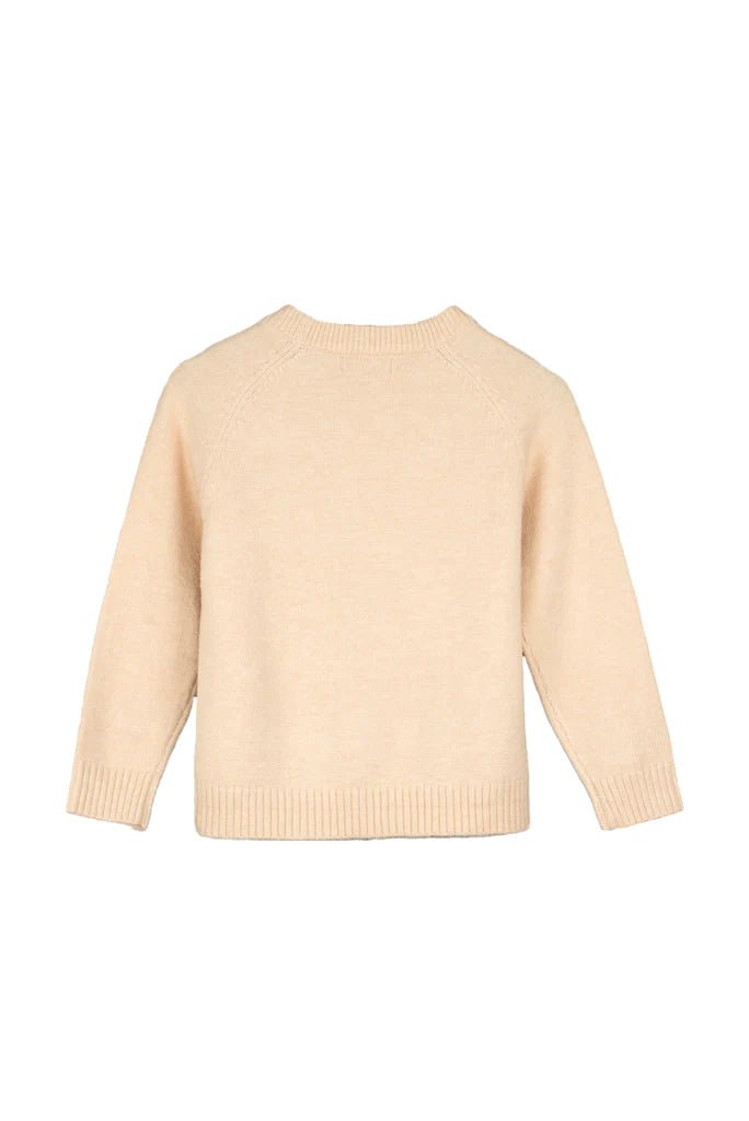 Fliink ALON PULLOVER-ALON PULLOVER - Lille Univers