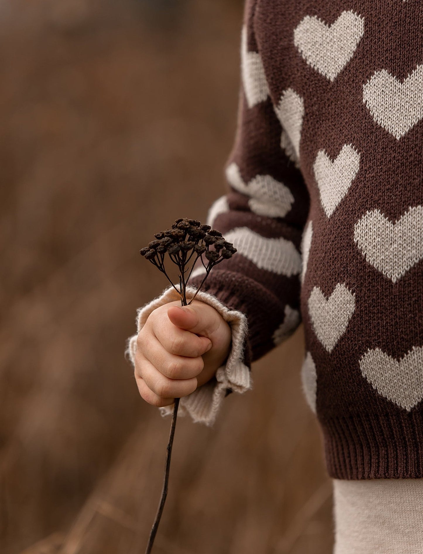 Fliink JANIE PULLOVER - CHICORY COFFEE-JANIE PULLOVER - Lille Univers