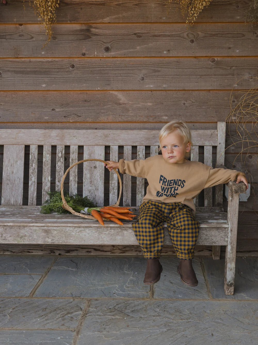 Organic Zoo Blueberry Gingham Carrot Pants - 15BBGHCP - 1 - Lille Univers